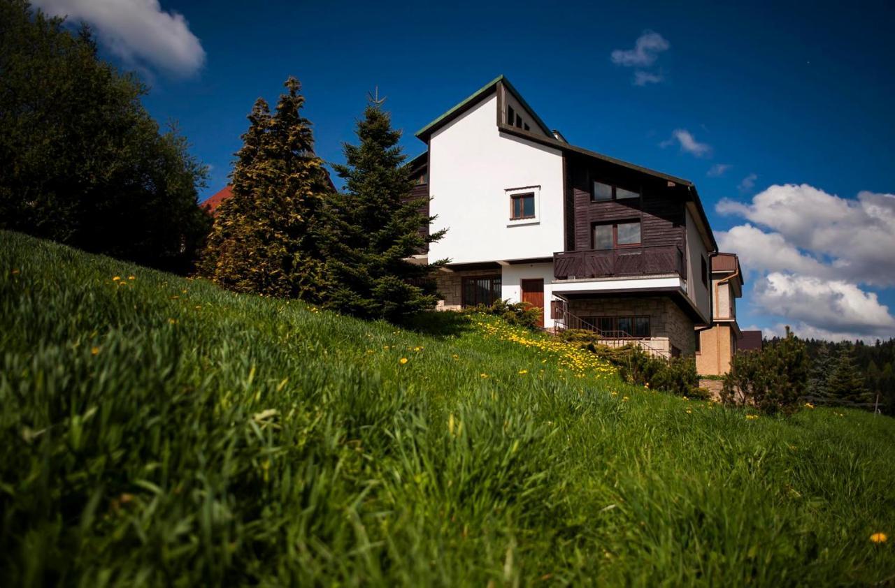 Zamkowa 48 * Krynica Zdroj